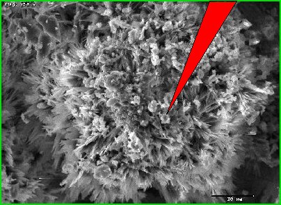 scanning electron microscope image, electron spot